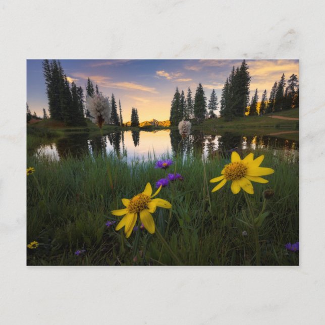 Serene Sunrise over a Colorado Pond Postcard (Front)
