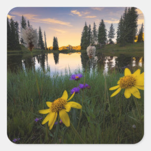 Serene Sunrise over a Colorado Pond Square Sticker