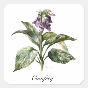 Serene Watercolor Comfrey, custom  Square Sticker