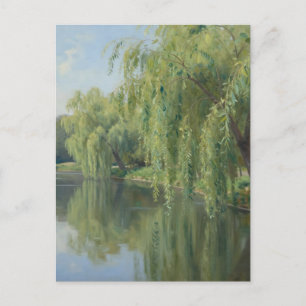Serene Weeping Willow Pond Landscape Postcard