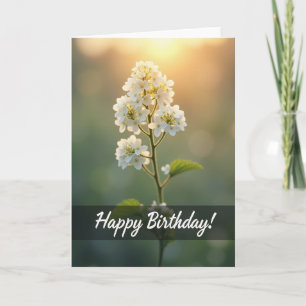 Serene White Blossom Card