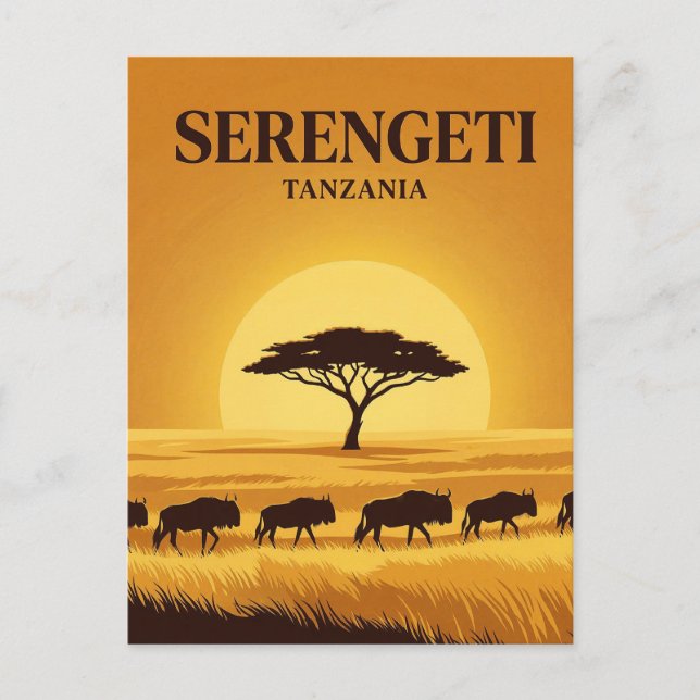 Serengeti, Arusha, Mara Postcard (Front)