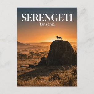 Serengeti, Arusha, Mara Region Postcard