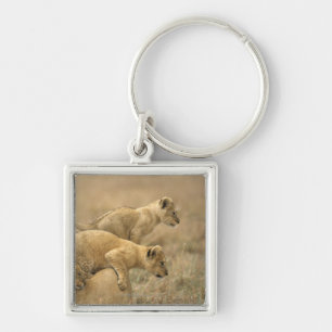 Serengeti National Park, Tanzania 2 Key Ring