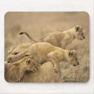 Serengeti National Park, Tanzania 2 Mouse Mat