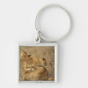 Serengeti National Park, Tanzania Key Ring