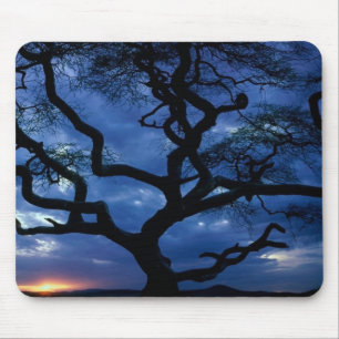 Serengeti National Park, Tanzania Mouse Mat