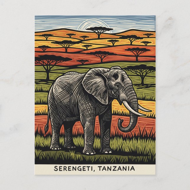 Serengeti National Park Tanzania Postcard (Front)