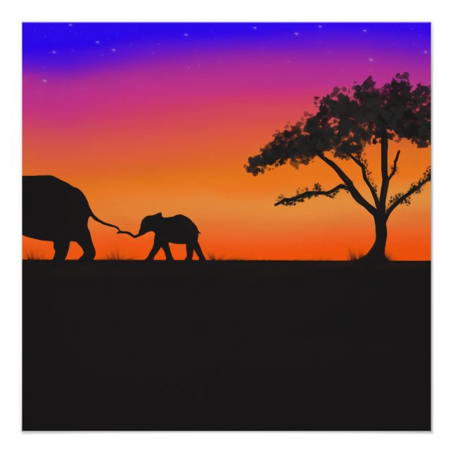 Serengeti Nights Poster (Front)