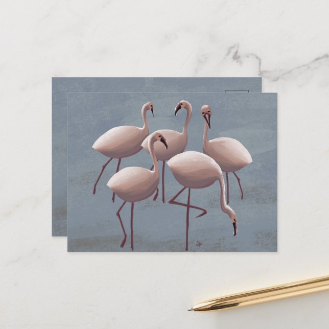 Serengeti Pink Flamingos | Safari Wildlife Postcard (Front/Back In Situ)