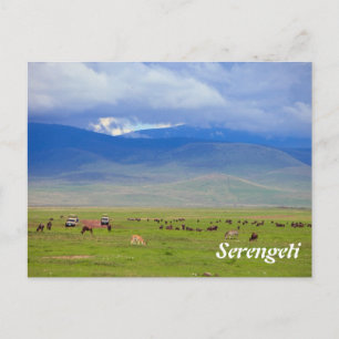 Serengeti Postcard