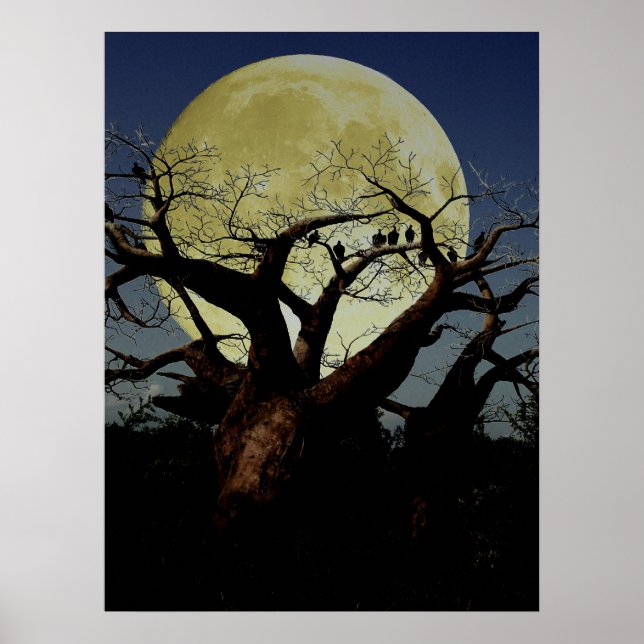 Serengeti Poster (Front)