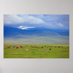 Serengeti Poster