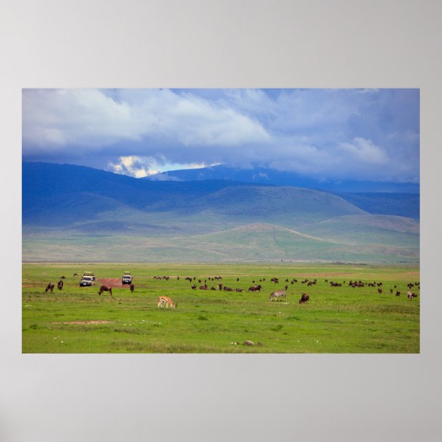 Serengeti Poster (Front)