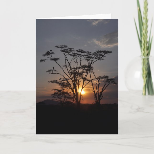 Serengeti Sunset Card (Front)