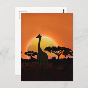 Serengeti Sunset Giraffe Safari Wildlife Postcard