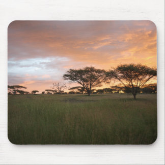 Serengeti Sunset Mouse Mat
