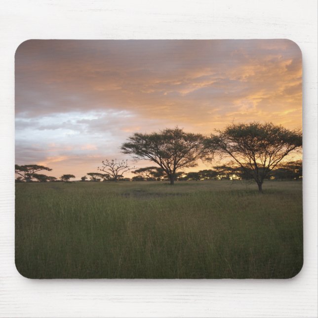 Serengeti Sunset Mouse Mat (Front)