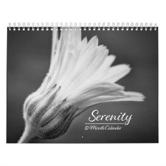 Serenity 12-Month Calendar