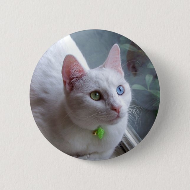 Serenity #2 Button (Front)
