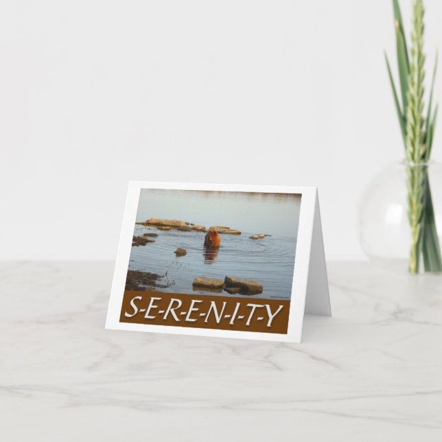 Serenity Card (Front)