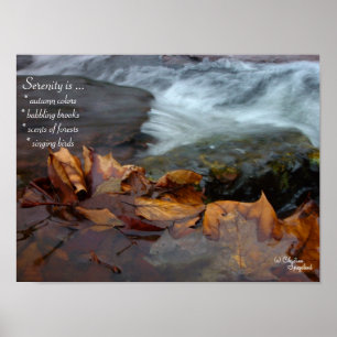 Serenity Creek Leaves Poster