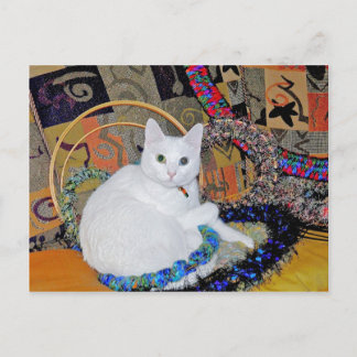 Serenity encircled Postcard