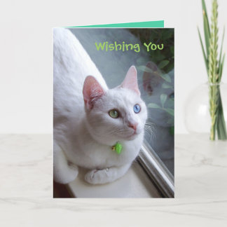 Serenity holiday card