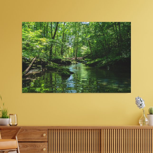 Serenity in the forest  canvas print (Creator Uploaded)