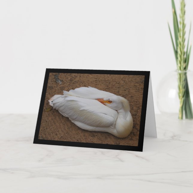 Serenity in White Card (Front)