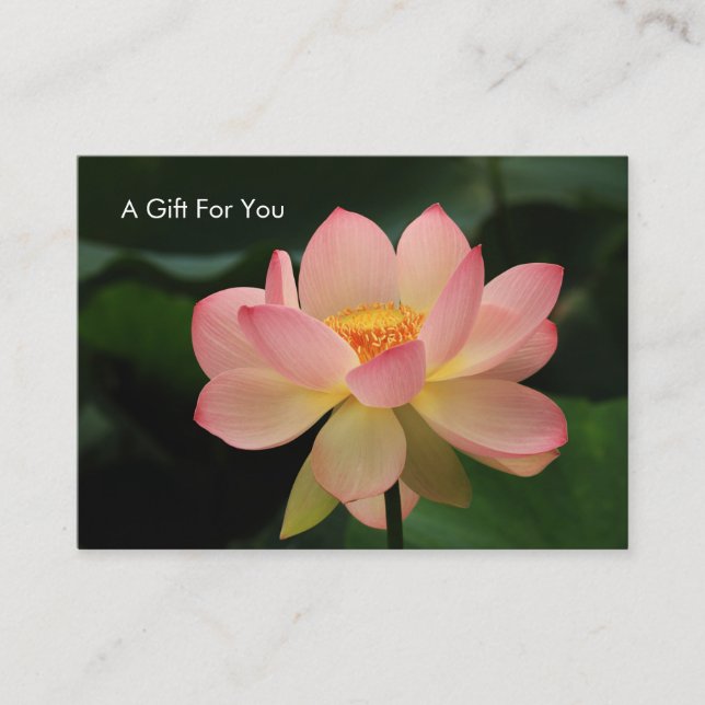Serenity Lotus Flower Massage Therapist Gift Card (Front)