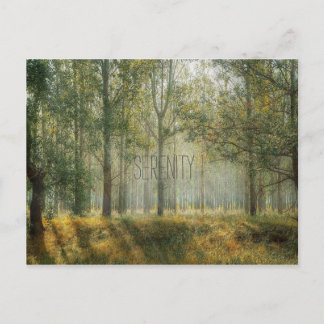 Serenity Nature Postcard