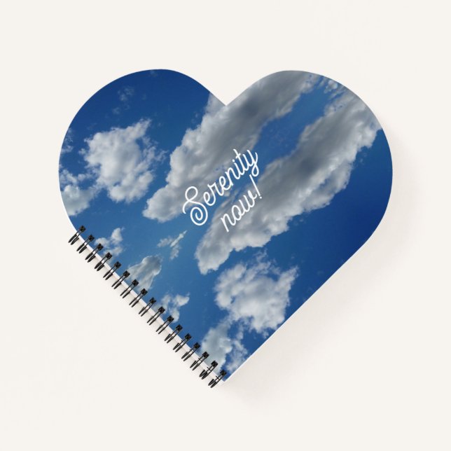 Serenity now! notebook (Front)