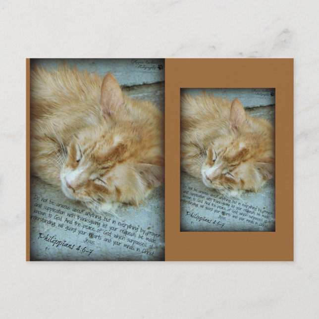 Serenity Postcard (Front)