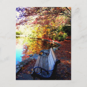 Serenity Postcard