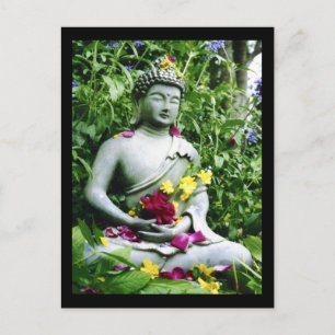 Serenity Postcard