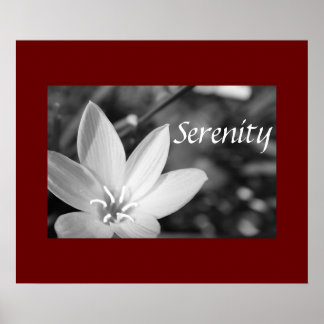 Serenity Poster