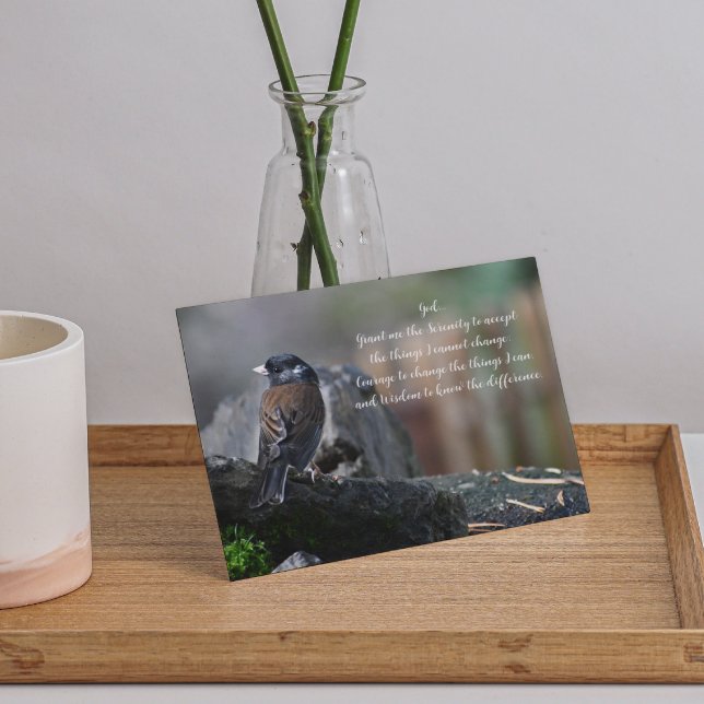Serenity Prayer Bird on Branch Photo Blank Card (Creator Uploaded)