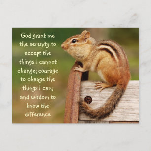 Serenity Prayer Chipmunk Postcard