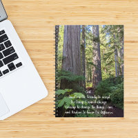 Serenity Prayer Green Forest