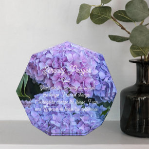 Serenity Prayer Hydrangea Blooms Floral Photo Block