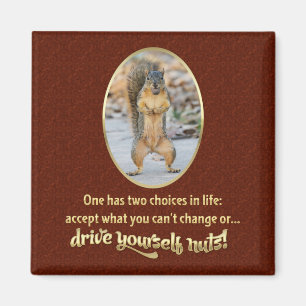 Serenity Prayer in a Nutshell Magnet