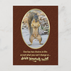 Serenity Prayer in a Nutshell Postcard