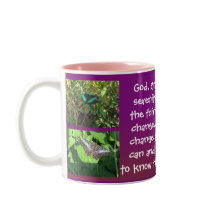 serenity prayer photos / message mug 15c