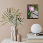 Serenity Prayer Pink Peony Bloom Floral Award Plaque<br><div class="desc">Wood wall plaque features the photo image of a pink Peony flower hanging over a wooden park bench along with the inspirational words of the Serenity Prayer. A lovely,  floral design! Select your wall plaque size. A thoughtful gift for family and friends!</div>