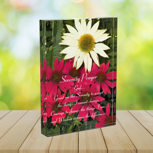 Serenity Prayer Red Coneflowers Floral Photo Block (In Situ)
