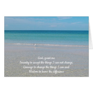 Serenity Prayer Sea Gull an the Beach