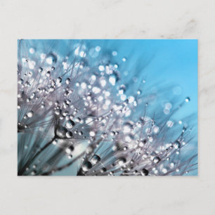 Serenity Prayer Sparkling Dew Sky Blue Background Postcard
