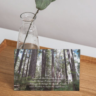 Serenity Prayer Sunlit Forest Photo Blank Card