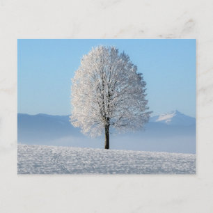 Serenity Prayer Winter Tree Postcard